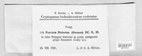 Puccinia bistortae image